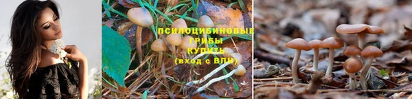 первитин Новозыбков