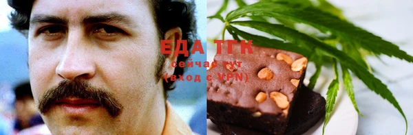 стаф Новокубанск